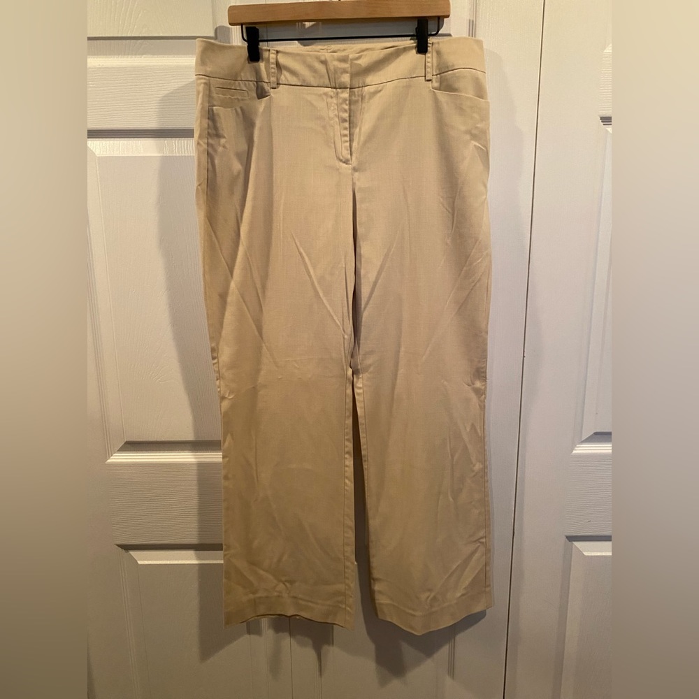 Beautiful Tan Colored New York & Co Pants